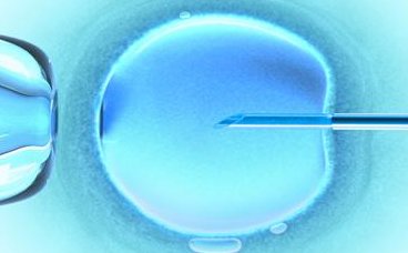 皇家生殖试管婴儿移植成功率的影响因素分析