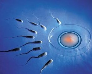 浙江第三代试管婴儿医院简介？浙江第三代试管婴儿医院的优势？如何选择合适的试管婴儿医院？