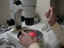 横州市生孩子做染色体检查有必要吗，筛查一次大概需要多少钱？