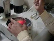 详细解读禹城市做长方案试管婴儿费用，长方案和短方案成功率有差别吗？